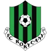 Rokycany logo