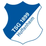 Hoffenheim U19 logo