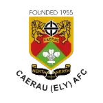 Caerau (Ely) logo