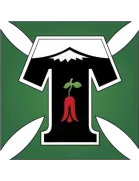 Deportes Temuco logo