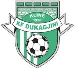 Dukagjini logo