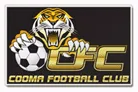 Cooma Tigers logo