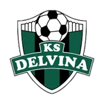 Delvina logo