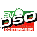 DSO logo