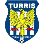 Dunarea Turris Turnu Magurele logo