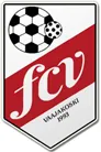 Vaajakoski logo
