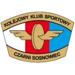 Czarni Sosnowiec W logo