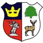 Cinderford Town logo