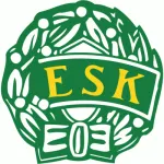 Enkoping logo