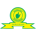 Mamelodi Sundowns logo