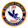 Berekum Chelsea logo