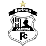 Zamora II logo