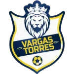 Vargas Torres logo