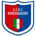 ASD Borgomanero logo