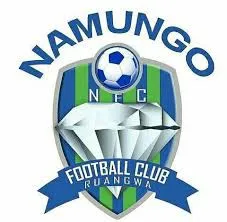 Namungo logo
