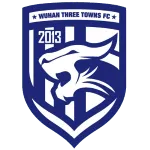 Wuhan Three Towns logo