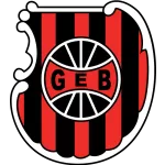 Brasil de Pelotas logo