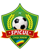 Spicul Chișcăreni logo