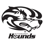 Pittsburgh Riverhounds logo