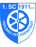 SF Seligenstadt logo