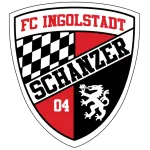 Pinzgau Saalfelden logo
