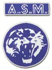 Venissieux logo