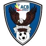 Ineu logo