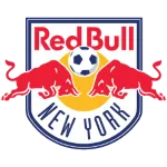 New York RB II logo