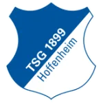 Hoffenheim U17 logo
