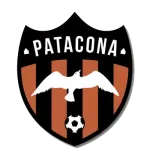 Patacona logo