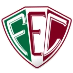 Fluminense PI logo