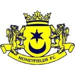 Moneyfields logo