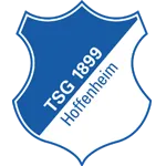 TSG Hoffenheim logo