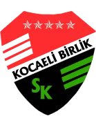 Kocaeli Birlikspor logo
