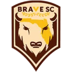 Brave logo