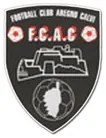 Calvi logo