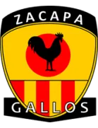Deportivo Sanarate logo