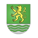 Paradiso logo