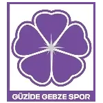 Güzide Gebzespor logo