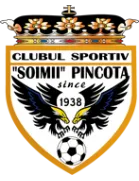 Şoimii Pâncota logo