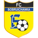 Bobruichanka W logo