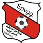 Hankofen-Hailing logo