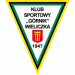 Gornik Wieliczka logo