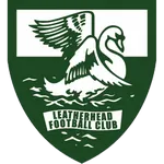 Leatherhead logo