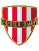 Sokol Brozany logo