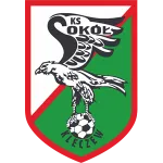 Sokół Kleczew logo