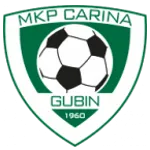 Carina Gubin logo