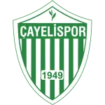 Çayelispor logo